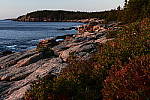 Click to see Y-KIT_DSC0618-SFX-Silhouette.JPG