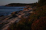 Click to see Y-KIT_DSC0620-SFX-Low-Key.JPG