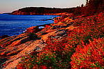 Click to see Y-KIT_DSC0622-SFX-Super-Vivid.JPG