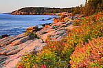 Click to see Y-KIT_DSC0623-SFX-Pop.JPG