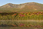 Click to see Y_DSC0040.JPG