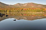 Click to see Y_DSC0073.JPG