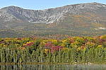 Click to see Y_DSC0086-ISO-12800.JPG
