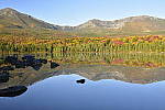 Click to see Y_DSC0089.JPG