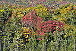Click to see Y_DSC0095.JPG