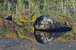Click to see Y_DSC0097.JPG