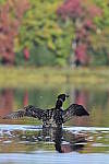 Click to see Y_DSC0449.JPG