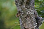 Click to see Y_DSC0575.JPG
