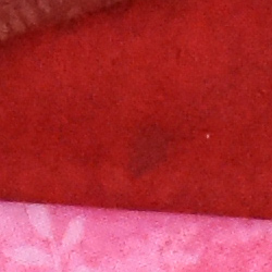 100% crop from Nikon D3400 test image taken at ISO 3200