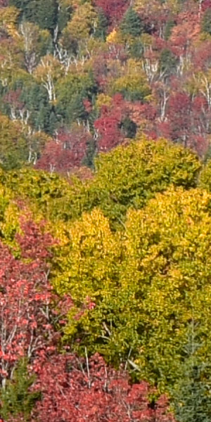 Nikon D3400 Review: Field Test -- Noise Test Image