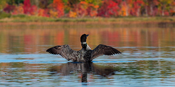 Nikon D3400 Review Conclusion -- Gallery Image