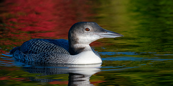 Nikon D3400 Review: Field Test -- Gallery Image