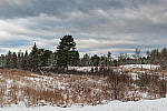 Click to see Y-JG-0065-MOD.JPG