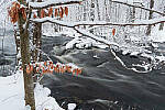 Click to see Y-JG-0163-MOD.JPG