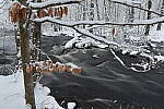 Click to see Y-JG-0163.JPG