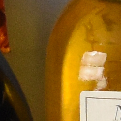 100% crop from Nikon D3500 test image taken at ISO 1600