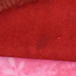 100% crop from Nikon D3500 test image taken at ISO 3200