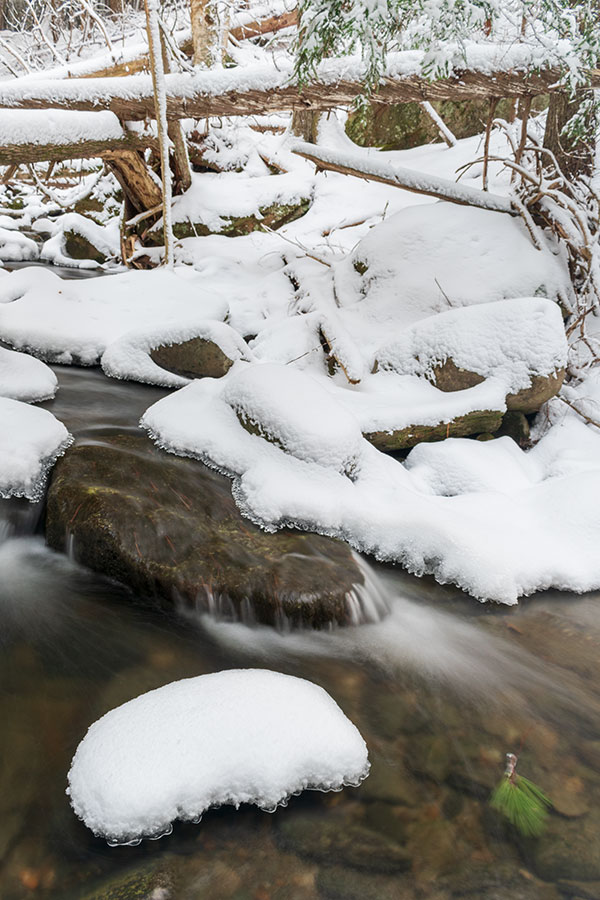 Nikon D3500 Review: Field Test -- Gallery Image