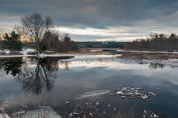 Nikon D3500 Review: Field Test -- Gallery Image