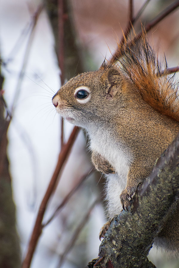 Nikon D3500 Review: Field Test -- Gallery Image