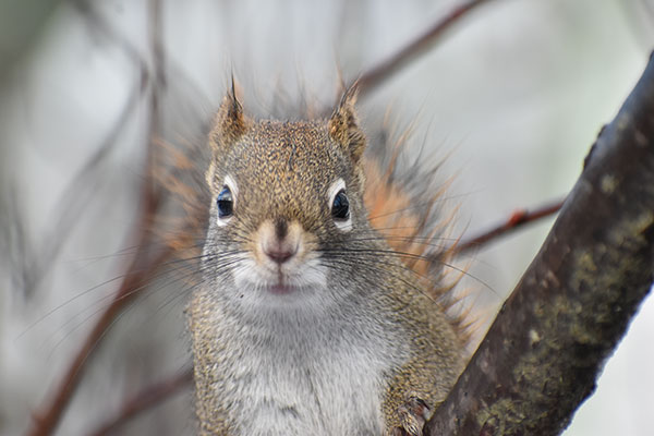 Nikon D3500 Review: Field Test -- Gallery Image
