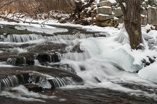 Nikon D3500 Review: Field Test -- Gallery Image