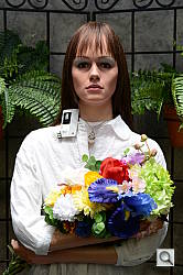 Click to see D4OUTBAM2.JPG