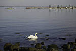 Click to see YDSC_0136-EDIT.JPG