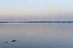 Click to see YDSC_0190-EDIT.JPG