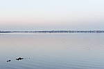 Click to see YDSC_0190.JPG