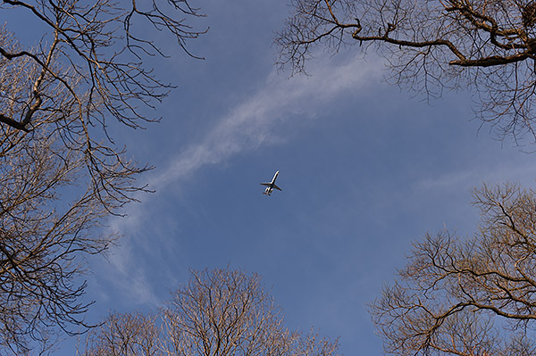 Nikon D4S Review -- sample image