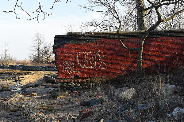 Nikon D4S Review -- sample image