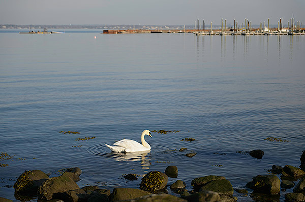 Nikon D4S Review -- sample image