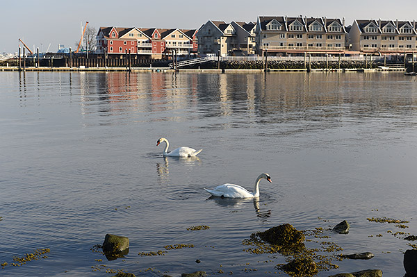Nikon D4S Review -- sample image
