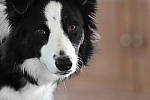 Click to see Y_DSC2605.JPG