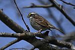 Click to see Y_DSC2656.JPG