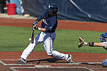 Click to see Y_DSC2948-MOD.JPG