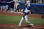 Click to see Y_DSC3257.JPG
