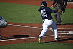 Click to see Y_DSC3500.JPG