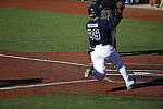 Click to see Y_DSC3501.JPG