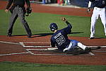 Click to see Y_DSC3502.JPG