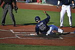 Click to see Y_DSC3503.JPG