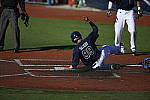Click to see Y_DSC3504.JPG