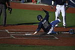 Click to see Y_DSC3505.JPG