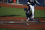 Click to see Y_DSC3511.JPG