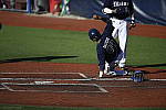 Click to see Y_DSC3512.JPG