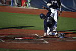 Click to see Y_DSC3513.JPG