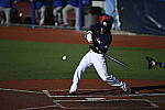 Click to see Y_DSC3516.JPG