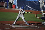 Click to see Y_DSC3700.JPG