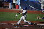 Click to see Y_DSC3728.JPG